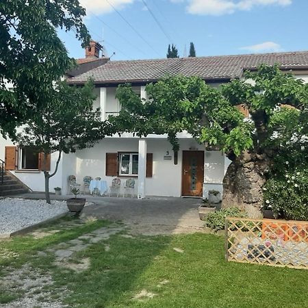 Country House Gazon Smarje (Koper) Exterior photo